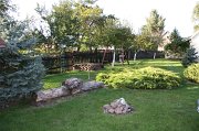 IMG_1304