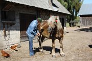 IMG_1320